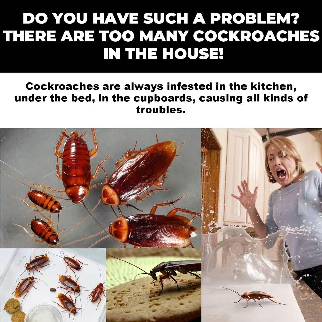 12Pcs In 1 Box,  Roach Bait Gel Roach Traps Roach Repellent, Cockroach Killer Indoor Home For Small Large Cockroaches