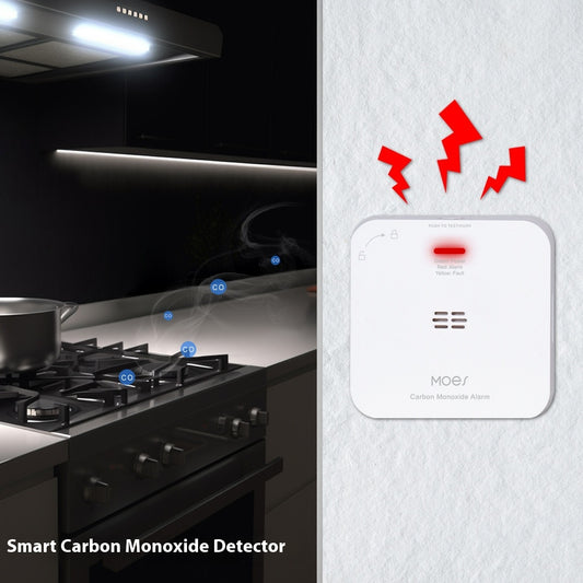Graffiti ZigBee Smart Home CO Detector Carbon Monoxide Gas Leakage Security Alarm