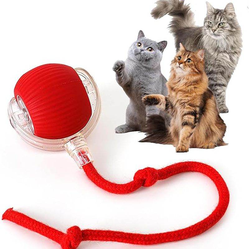 All Stainless Steel Pet Water Dispenser Round Runway Type Large Capacity Dogs And Cats Water Dispenser