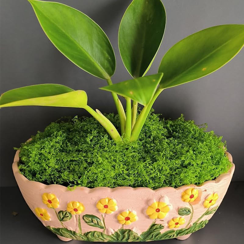 Artificial Green Moss Micro Landscape Fake Moss Garden Crafts Home Decor