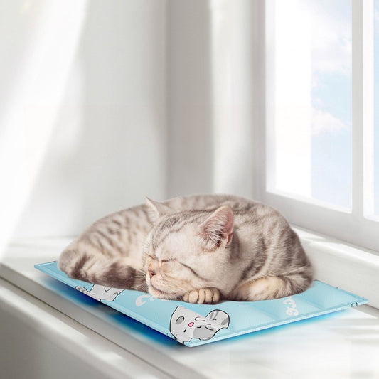 Cartoon Pet Ice Mat In Summer