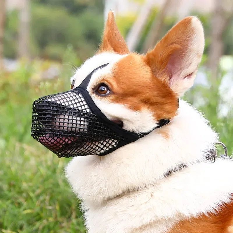 Dog Muzzle Mesh Breathable Pet