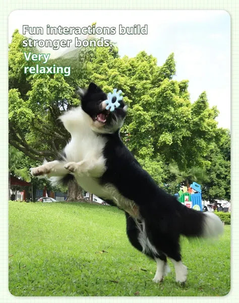 Pet Interactive Flywheel,Dog Toy,Fun Interactions Buildstronger Bonds