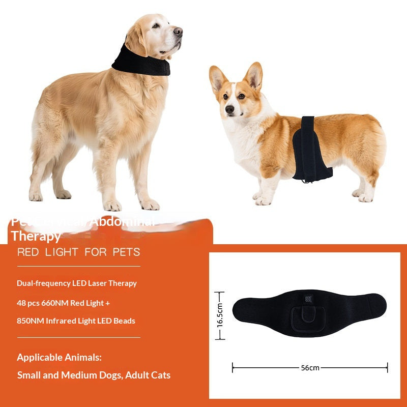 Pet Red Light Physiotherapy Mat For Post-Surgery Recovery Pain Relief And Spinal Care In Cats And Dogs