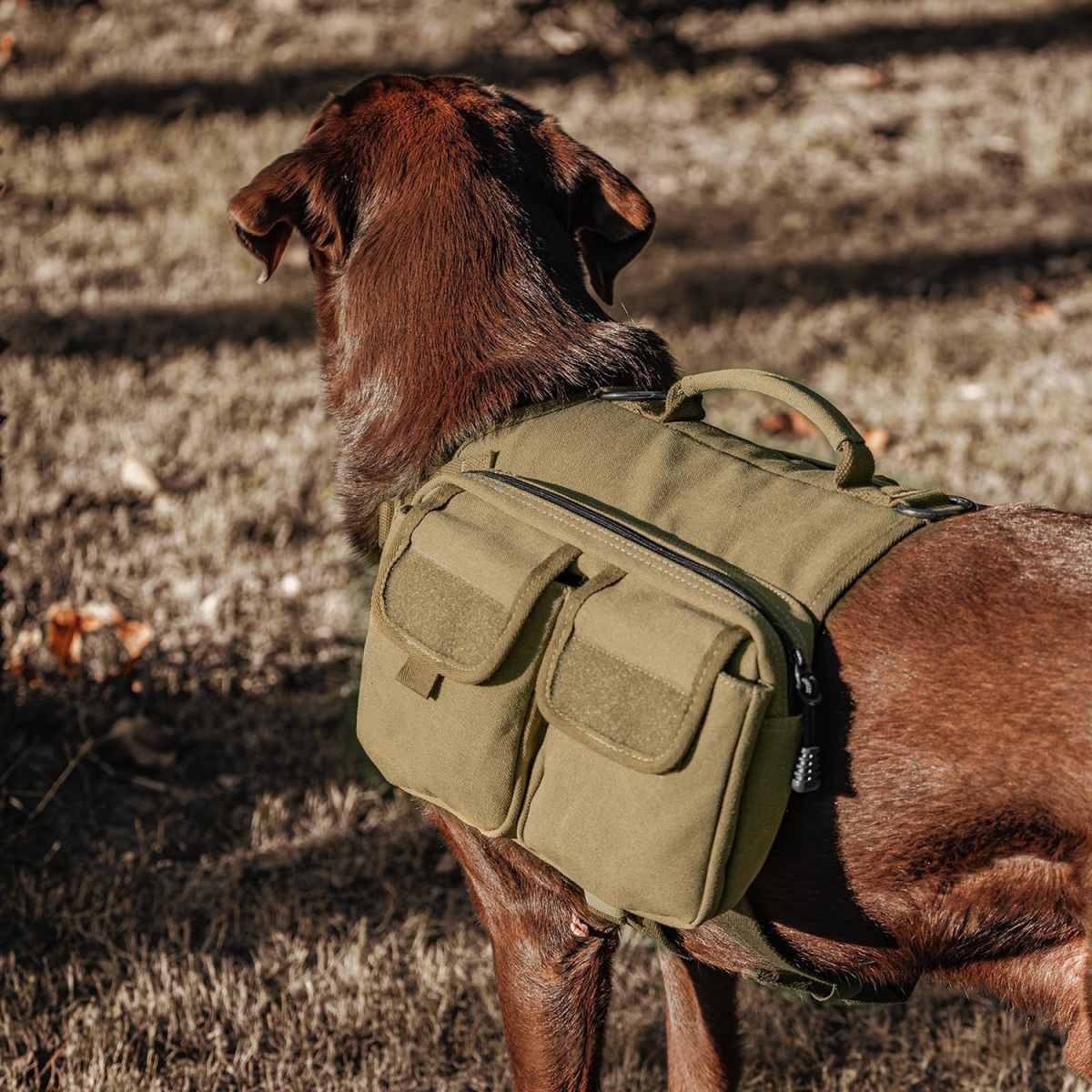 Hiking Backpack Saddle Bag Suitable For Medium To Large Dogs As An Outdoor Pet Carrier