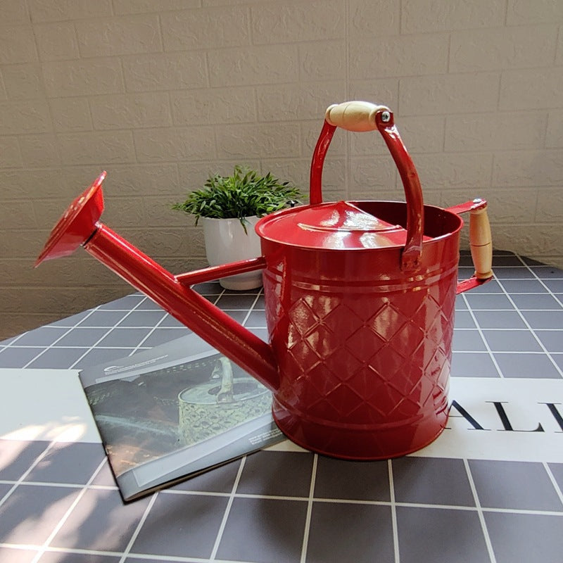Large Watering Can For Home Gardening Vegetable Growing And Flower Care European And American Style