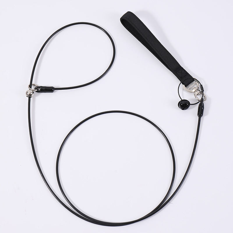 Pet Leash And Collar Dog Walking Leash