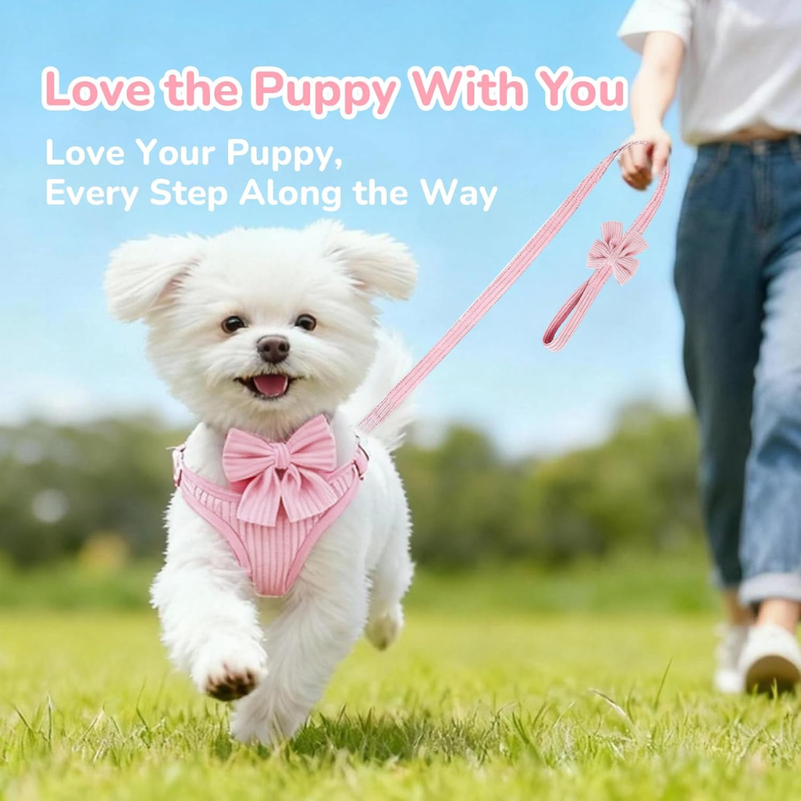 Small Dog Collar Harness And Leash Set, Dog Harness No Pull With Bowtie, Breathable Cotton Adjustable Pet Puppy