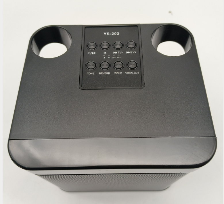 Wireless Bluetooth Karaoke Home Echo System Singing Machine Dual Mic Speaker AU
