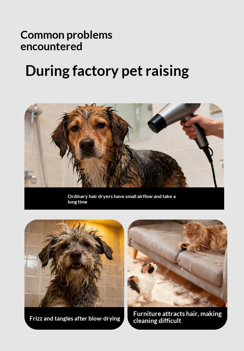 Multi-Function Hair Suction Grooming Tool For Cats And Dogs