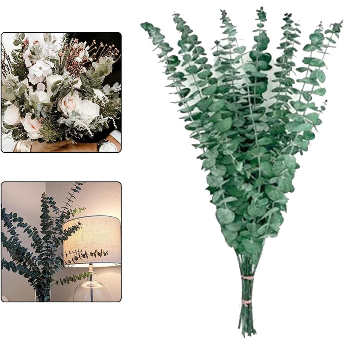 Pack Of 20 Dried Eucalyptus Sprigs, Dried Flowers, Eucalyptus Decorations, Dried Flowers, Green Eucalyptus Decorations, Suitable For Weddings, Table Decorations, Floral Arrangements, And Home Decor