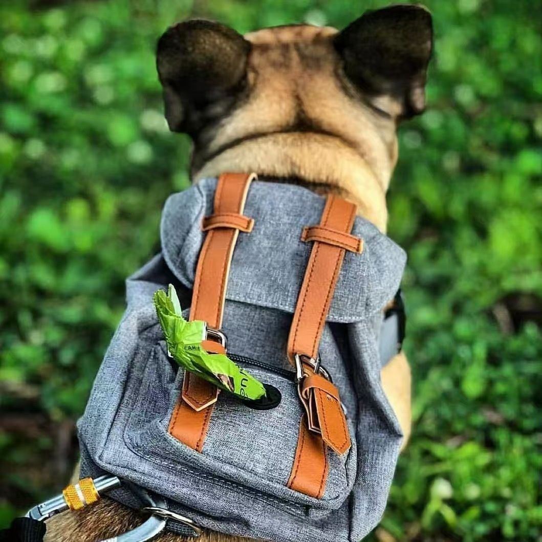 Retro Streetwear Dog Backpack Petite Pet Carrier
