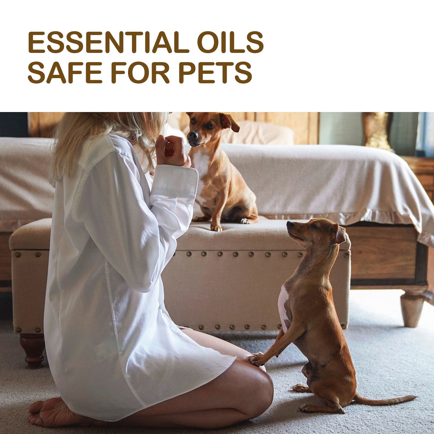 Dog Pet Care Oil With Lemon Balm Oil Fatty Acids, Joint & Muscle Relief Supplement Oil For Canine Mobility Support