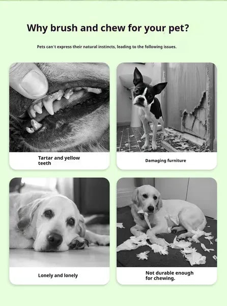 DOG Chew Toys For Teeth Cleaning,Pet Sausage Chew Brush,Pet Chew & Clean Buddy