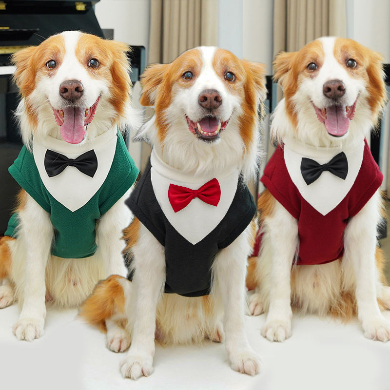 Autumn And Winter Pet Suits