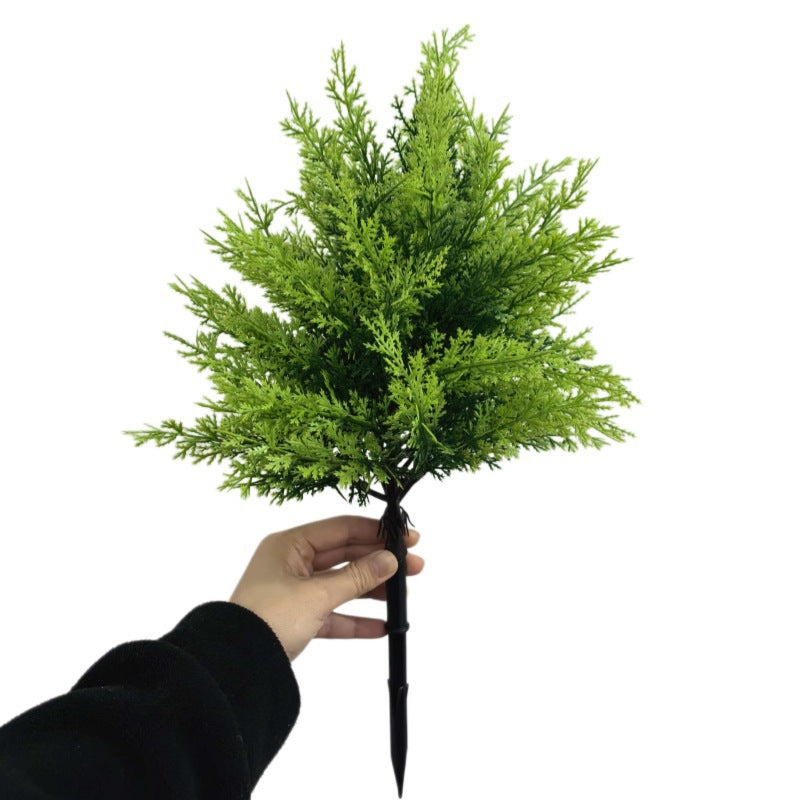 Small Juniper Bonsai For Home Decor Garden Art And Outdoor Use