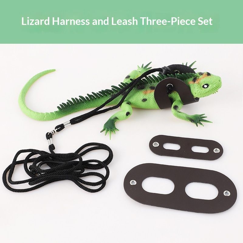 Cross-border Pet Harness And Reptile Carrier Leash For Outings