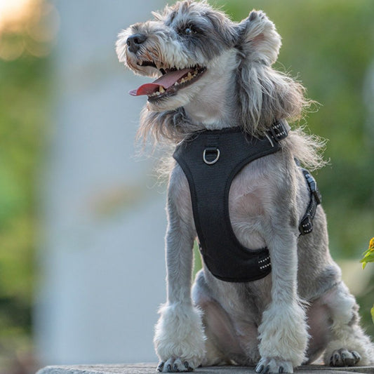 Explosion-proof Padded Pet Dog Harness
