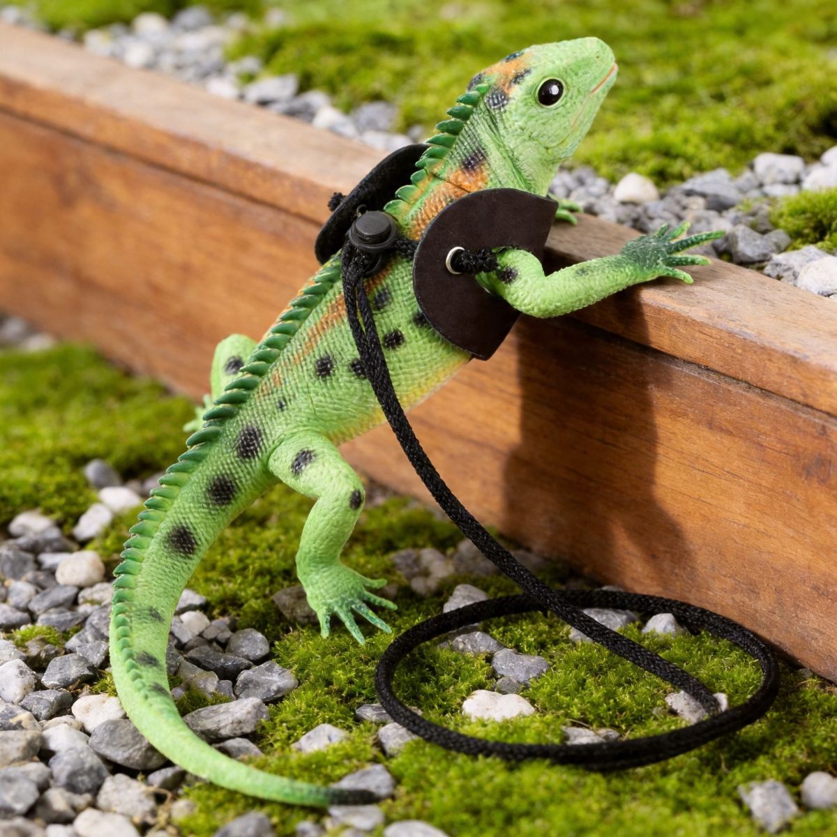 Cross-border Pet Harness And Reptile Carrier Leash For Outings
