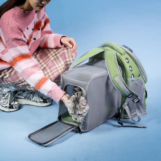 Portable Pet Carrier With Shoulder Straps