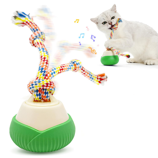 Interactive Cat Toy, 360 Rotating Automatic Moving Cat Toys, Voice Recordable Auto Rolling Pet Toy With LED Sound & Music, Rechargeable Interactive Cat Toys For Indoor Cats & Small Dogs
