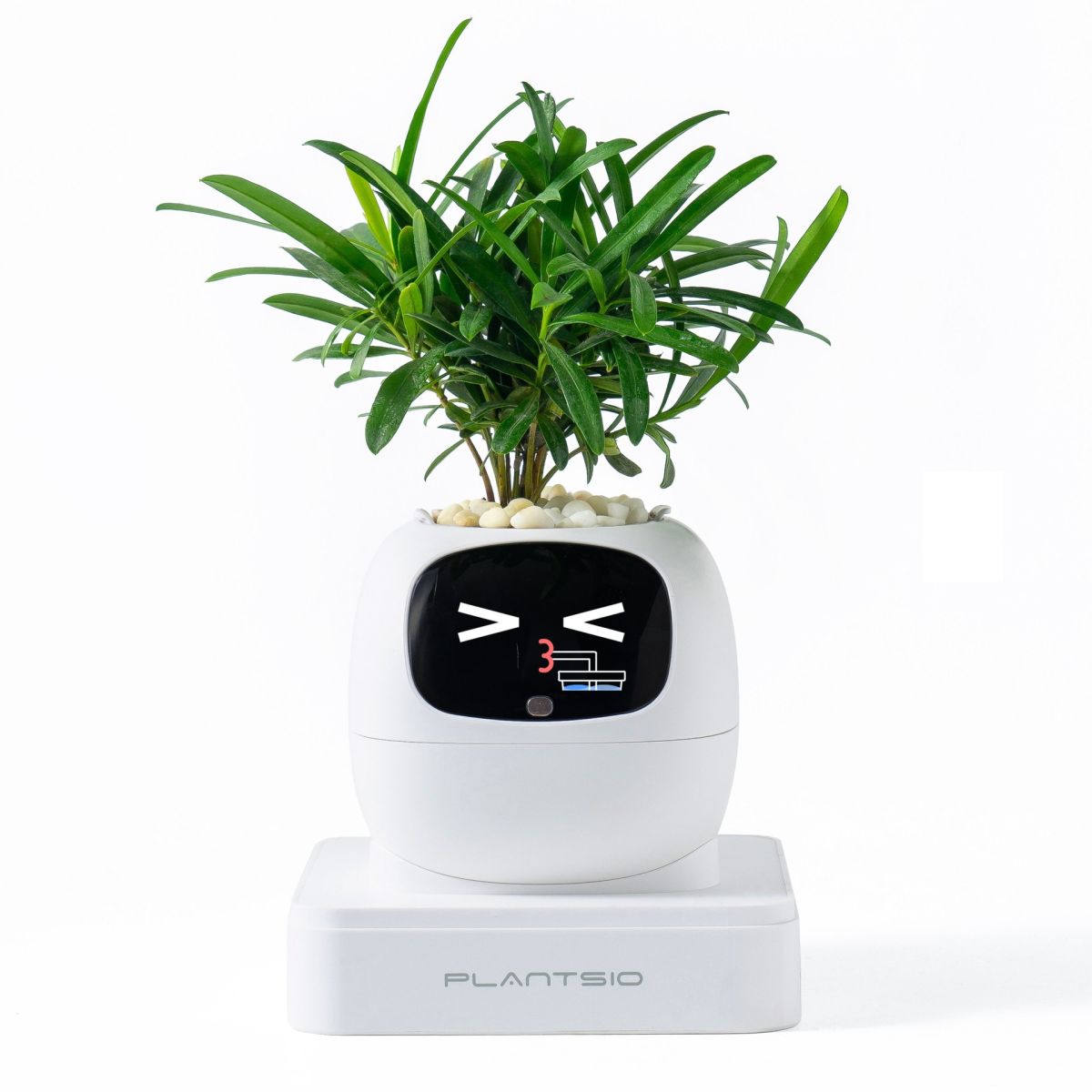 Second-generation Smart Self-watering Flower Pot Round Shape USB Rechargeable