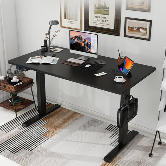 Basic Dual-Motor Electric Standing Desk