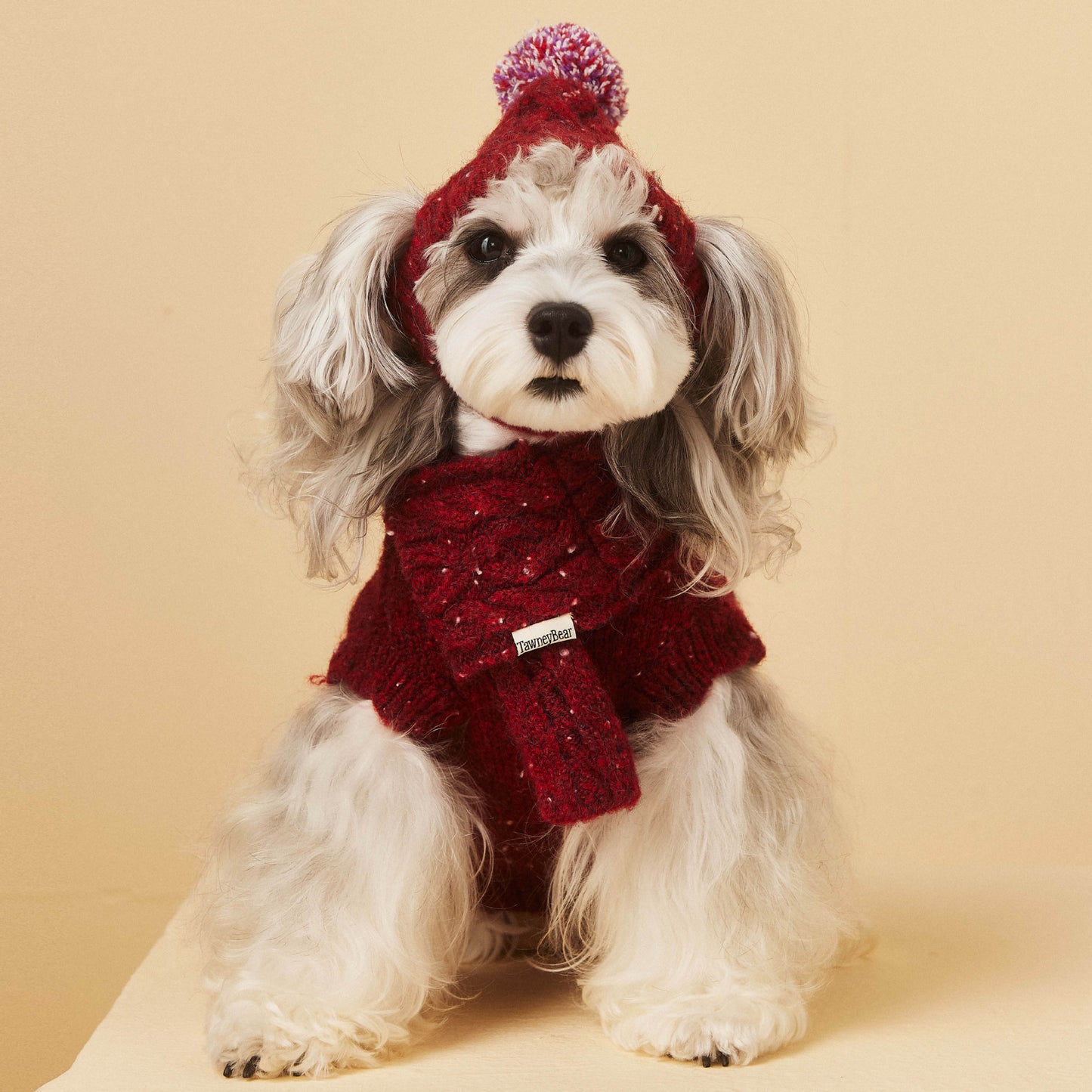 Pet Dog Supplies Accessories Wool Hat Scarf
