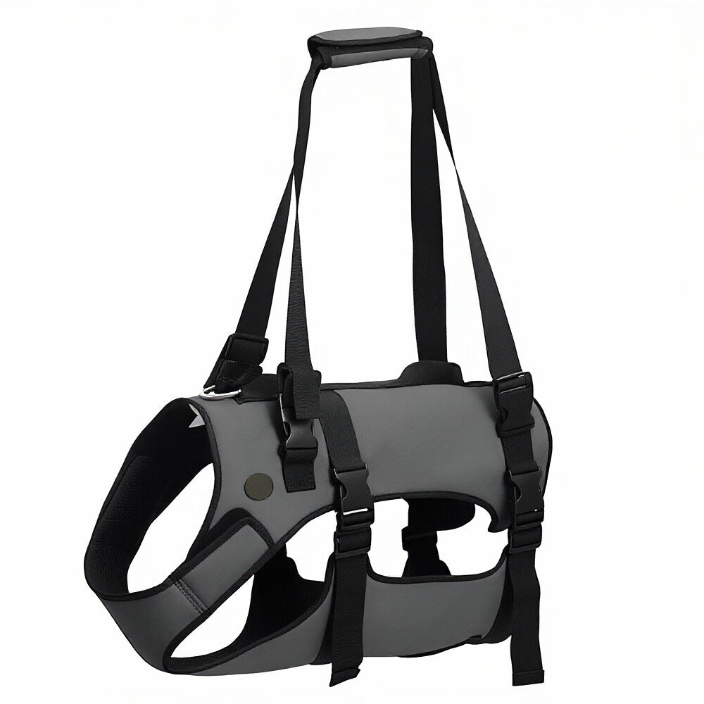 Assistance For A Pet Dog With Weak Legs