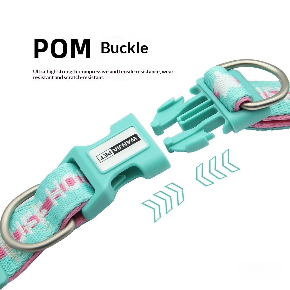Pet Collars For Small And Large Animals