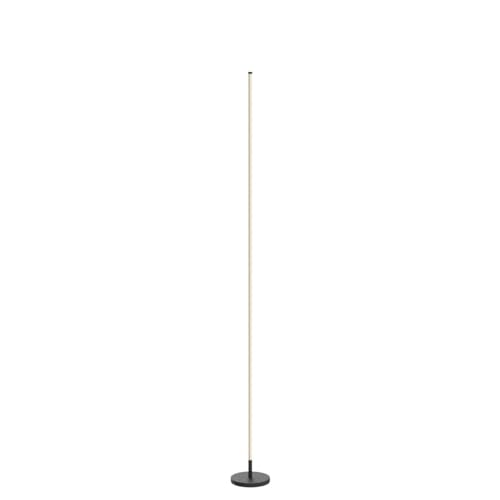 TACAHE Minimalist Corner Floor Lamp - 2700K-6500K Dimmable LED Night Light - Modern Standing Mood Lamp with Remote Control...