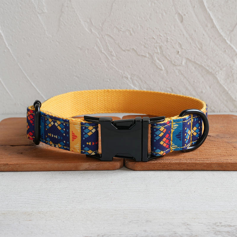 Dog Collar Pet Supplies Foreign Trade Leash Set Black Buckle