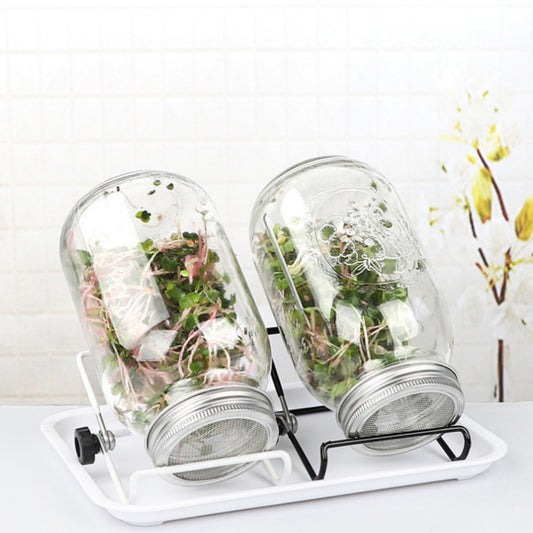 Mason Jar Home Sprouting Jar Stainless Steel Stand