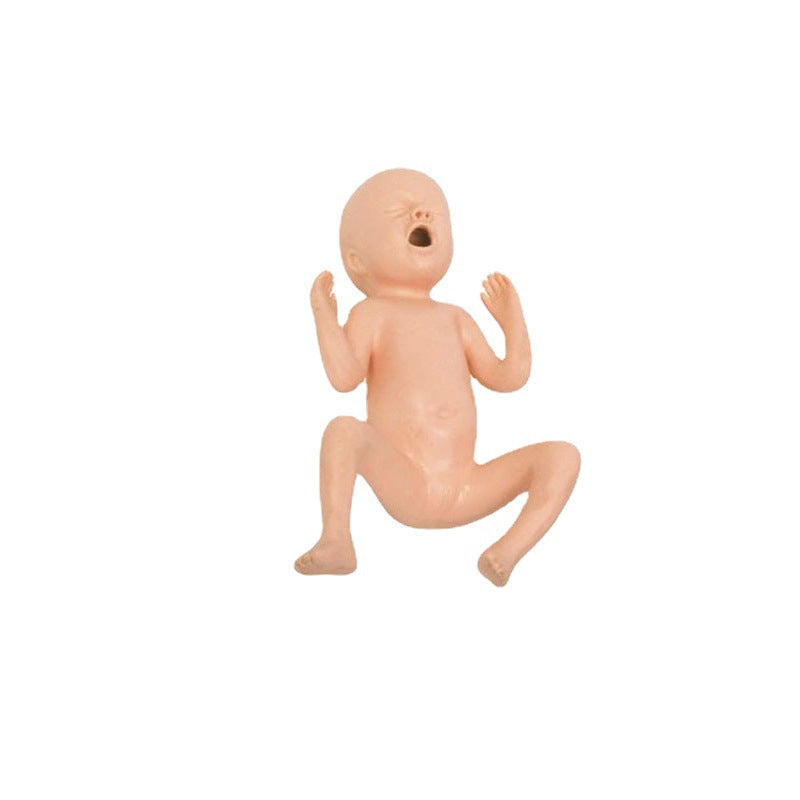 Infant Care Training Nurse Baby Care Model