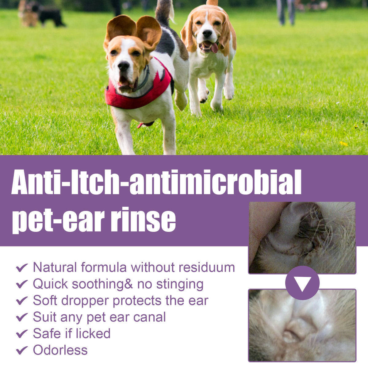 118ml Pet Ear Rinse Cleaner With Glycerin & Disodium EDTA, Anti-Itch Antimicrobial Ear Wash For Dogs Cats, Alcohol-Free Gentle Ear Cleanser With Cotton Swabs