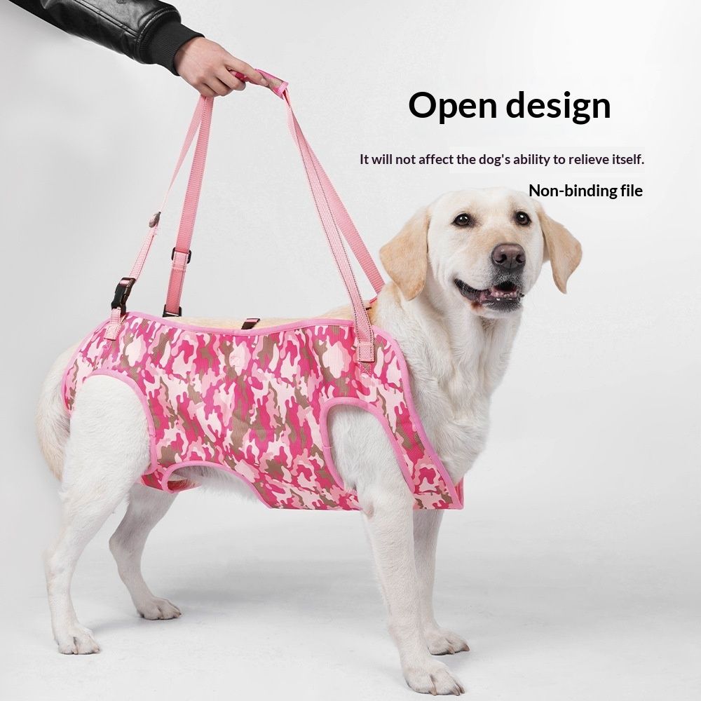 Pet-assisted Rehabilitation Harness For Travel