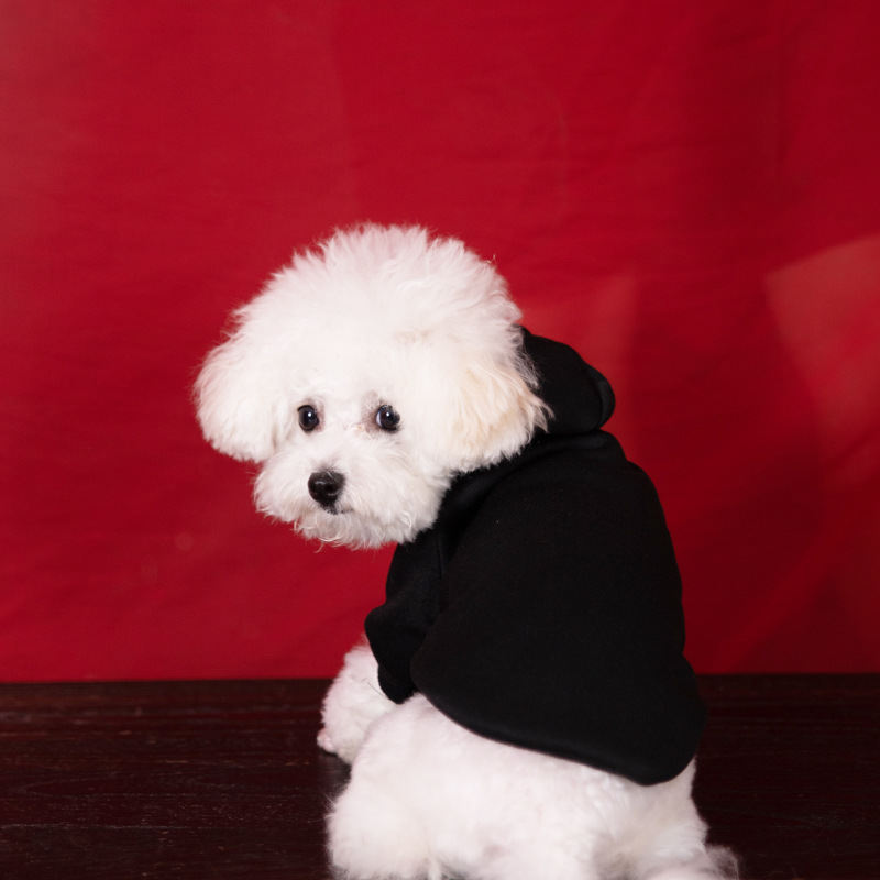 Pet Hoodie For Dogs Fleece-lined With A Hood