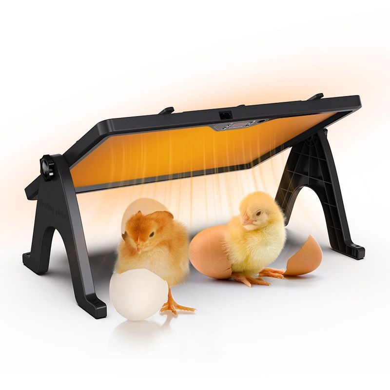 Remote-Controlled Automatically Thermostated Pet Winter Heater