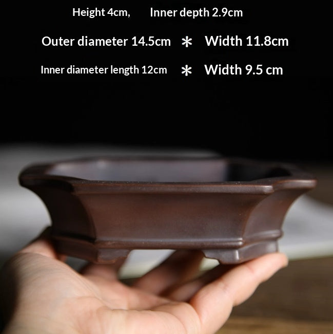Zisha Teapot Tabletop Tea Tray And Miniature Bonsai Pot