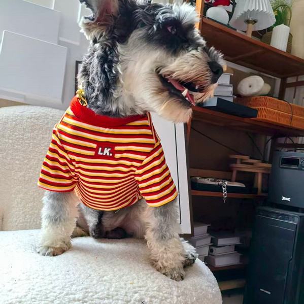 Pet Clothing Warm Cute Striped