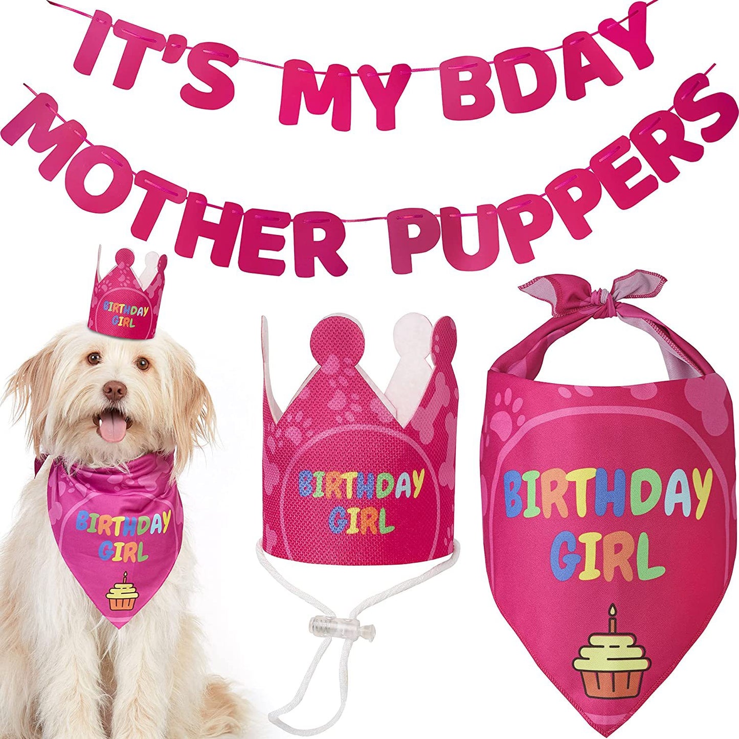 Pet Party Decorations Birthday Setup Pennant Banners
