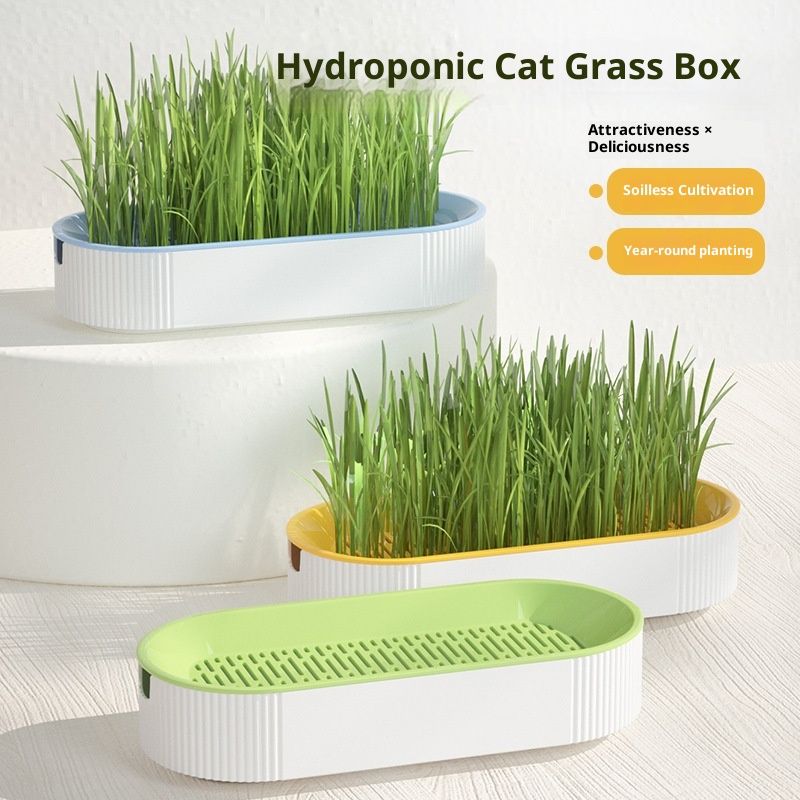 Pet Supplies Cat Snacks Catnip Planting Hydroponic Box