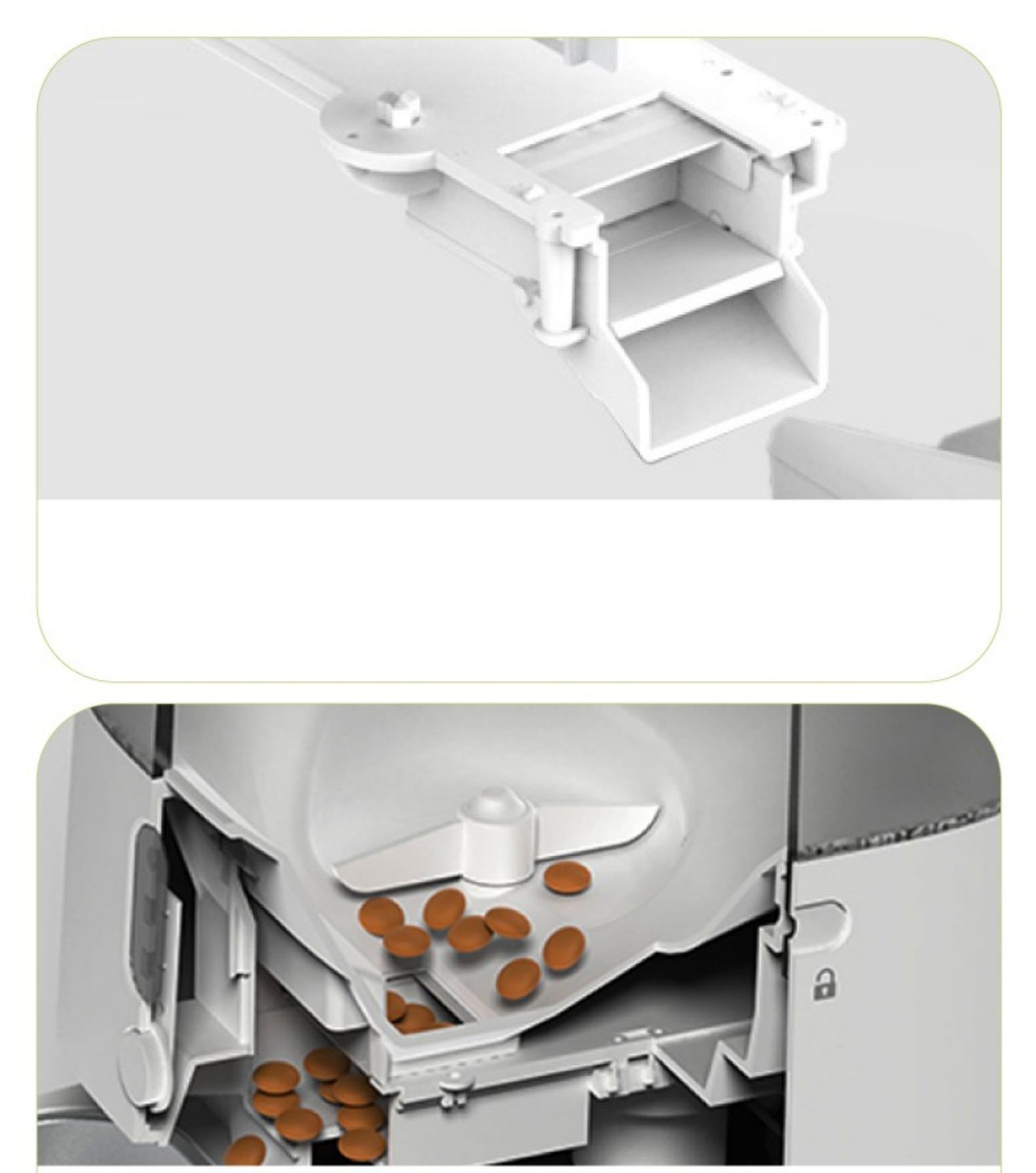 Intelligent Automatic Feeder For Cats With Timed Feeding