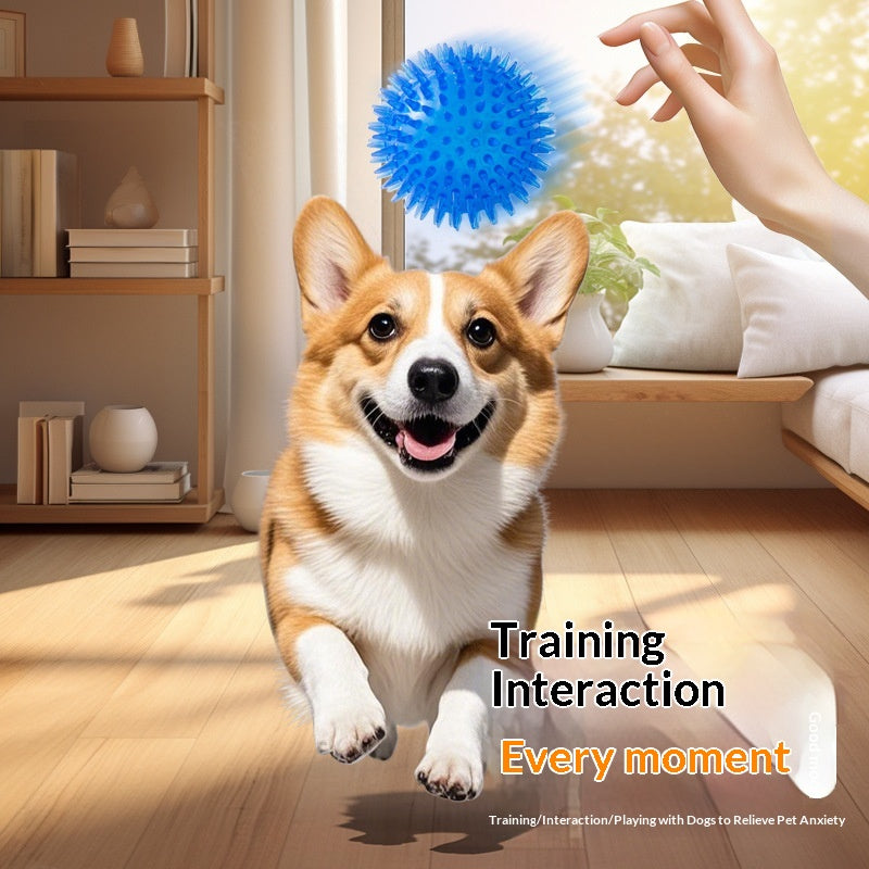 Cross-border Pet Dog Toy Ball