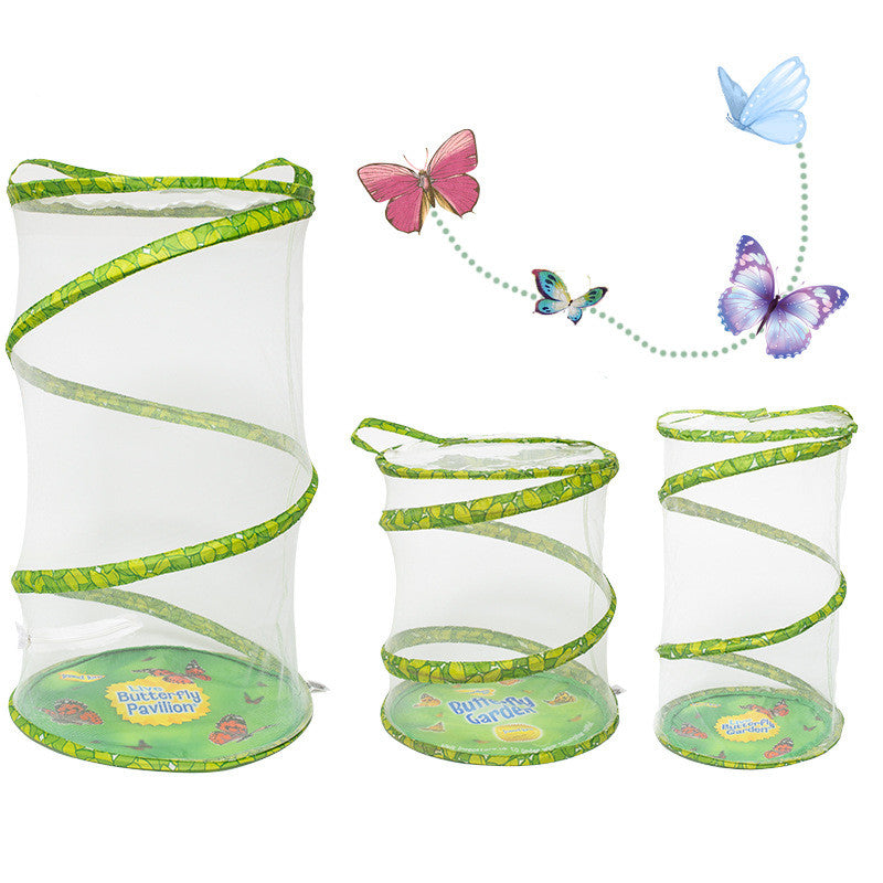 Observe The Dragonfly Feeding The Butterfly Cage