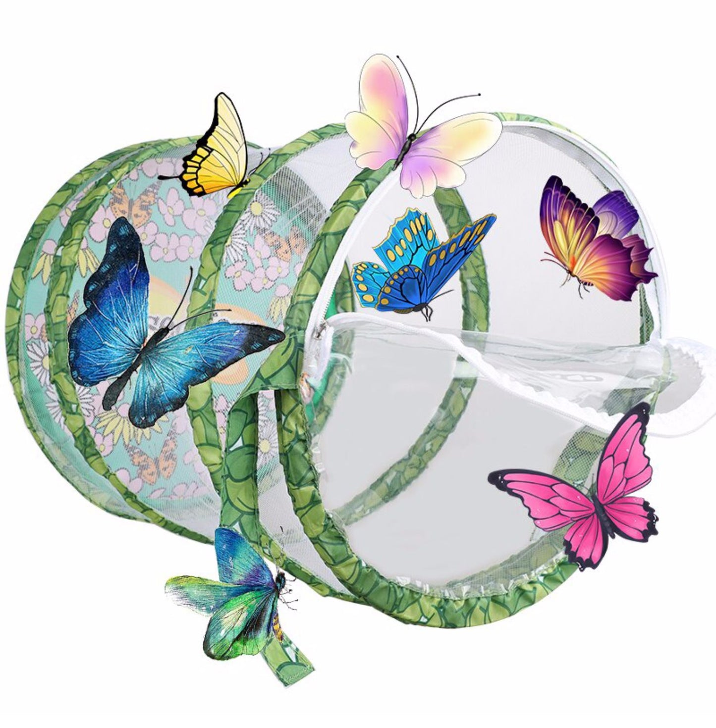 Observe The Dragonfly Feeding The Butterfly Cage