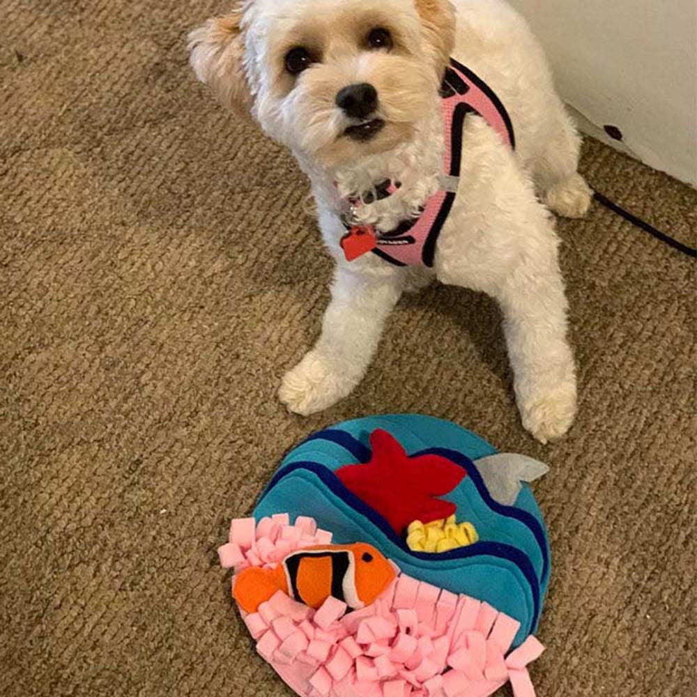 Pet Training Feeding, Vocal And Sniffing Mat