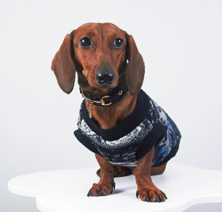 Autumn And Winter New Thick Warm Sweater Pet Clothes