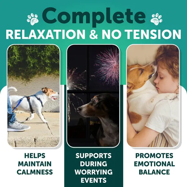 Hemp Calming Chews For Dogs Dog Anxiety Relief Treats With Hemp Oil Turmeric Valerian Ginger Health And Wellness Supplements For Dogs Hip And Joint Support 120 Treats