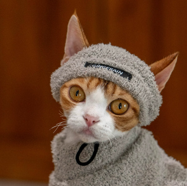 Winter Warm Pet Hat Plush Headwear